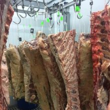 sala despiece en los belones