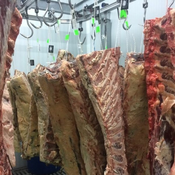 sala despiece en los belones