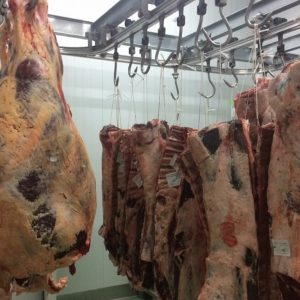 sala despiece en los belones