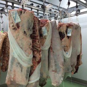 sala despiece en los belones